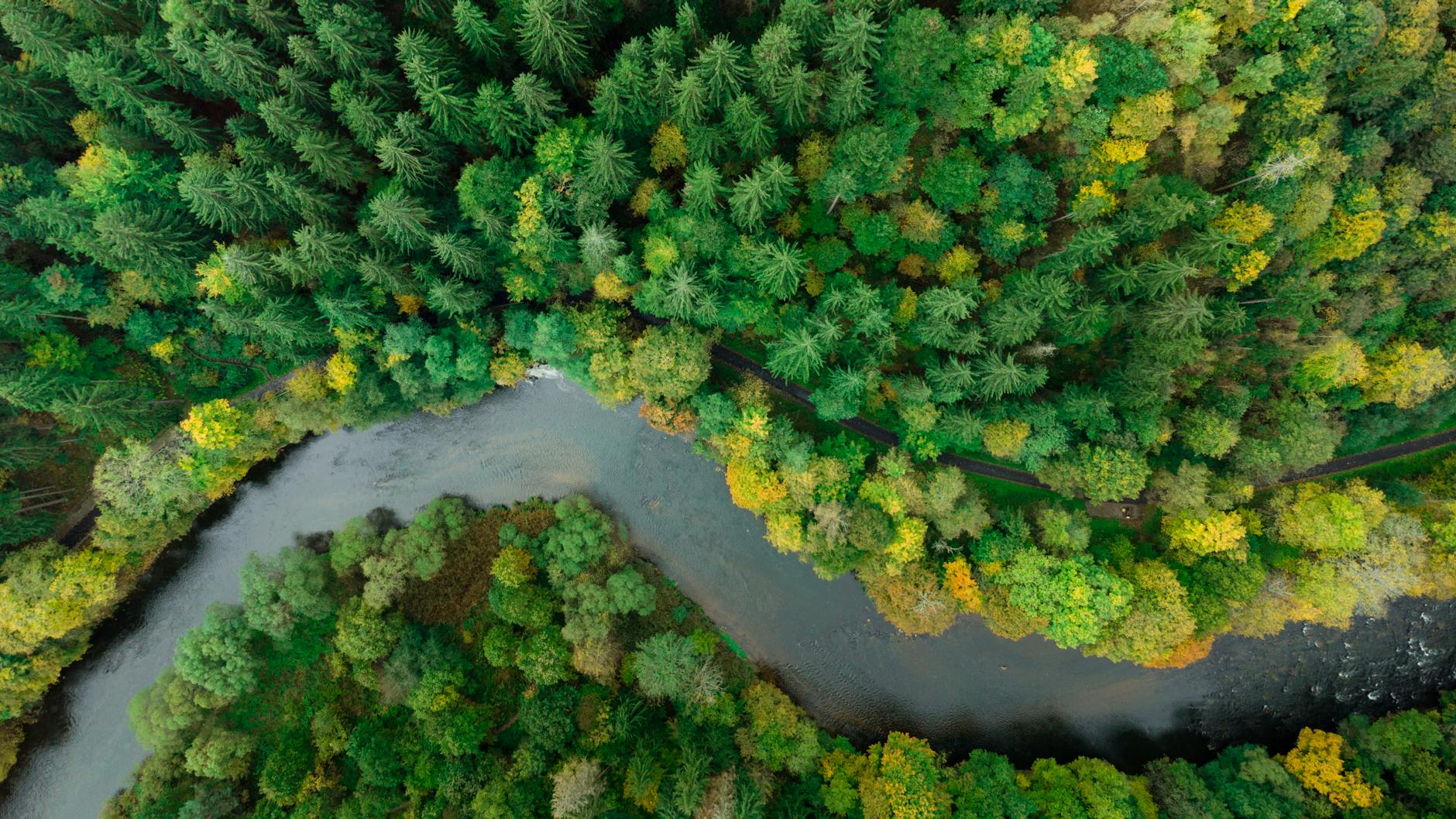 Strategic Content Planning: Building a Calendar for Your Environmental Blog